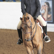 2012 Scottsdale Show | Days 1 & 2