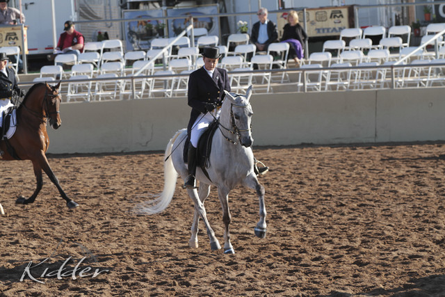 2012 Scottsdale Show | Days 1 & 2