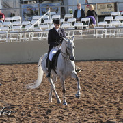 2012 Scottsdale Show | Days 1 & 2