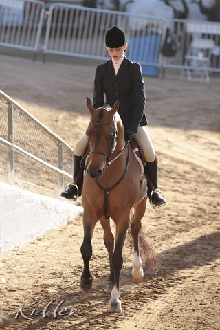 2012 Scottsdale Show | Days 1 & 2