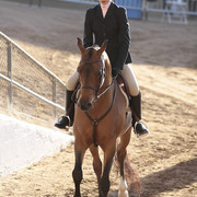 2012 Scottsdale Show | Days 1 & 2