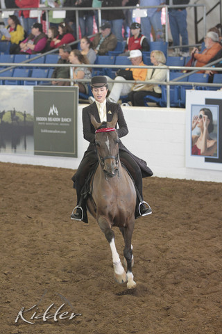 2012 Scottsdale Show | Days 1 & 2