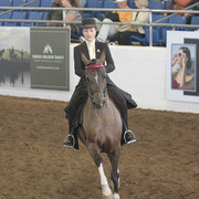 2012 Scottsdale Show | Days 1 & 2