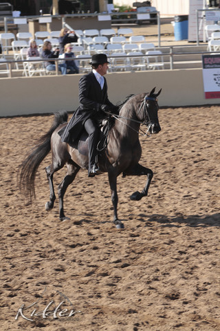 2012 Scottsdale Show | Days 1 & 2