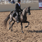 2012 Scottsdale Show | Days 1 & 2