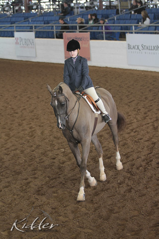 2012 Scottsdale Show | Days 1 & 2