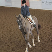 2012 Scottsdale Show | Days 1 & 2