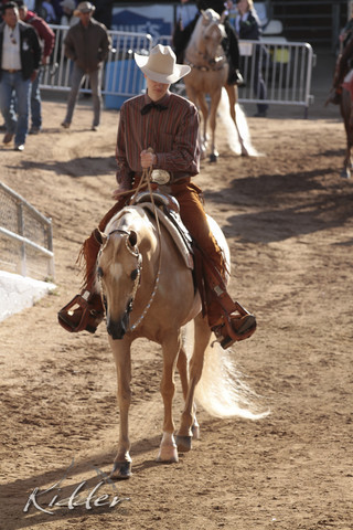 2012 Scottsdale Show | Days 1 & 2