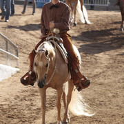 2012 Scottsdale Show | Days 1 & 2