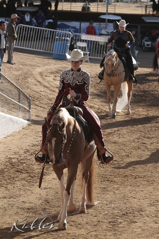 2012 Scottsdale Show | Days 1 & 2