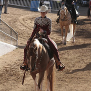 2012 Scottsdale Show | Days 1 & 2