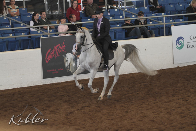2012 Scottsdale Show | Days 1 & 2