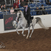 2012 Scottsdale Show | Days 1 & 2
