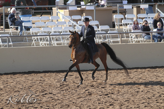 2012 Scottsdale Show | Days 1 & 2