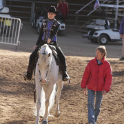 2012 Scottsdale Show | Days 1 & 2