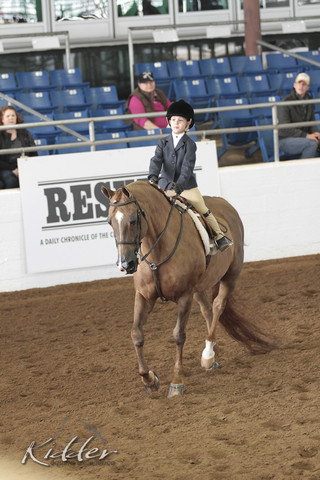 2012 Scottsdale Show | Days 1 & 2