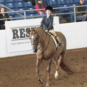 2012 Scottsdale Show | Days 1 & 2