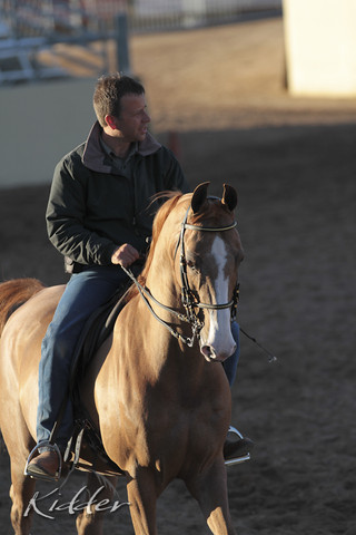 2012 Scottsdale Show | Days 1 & 2