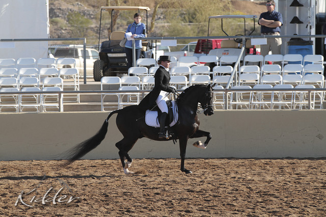 2012 Scottsdale Show | Days 1 & 2