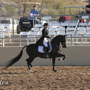 2012 Scottsdale Show | Days 1 & 2