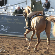 2012 Scottsdale Show | Days 1 & 2