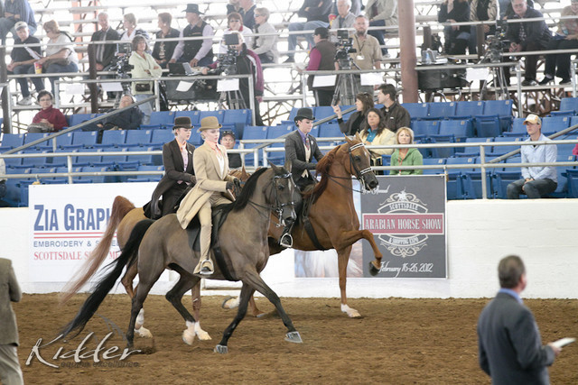 2012 Scottsdale Show | Days 1 & 2
