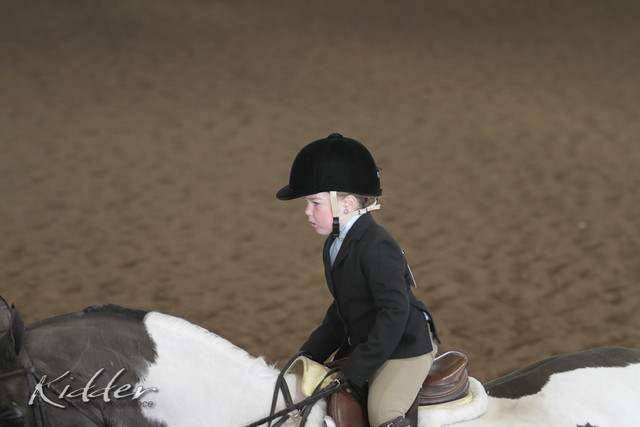 2012 Scottsdale Show | Days 1 & 2