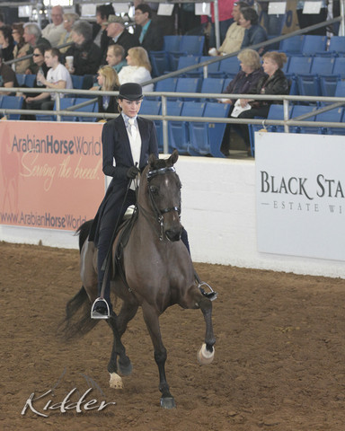 2012 Scottsdale Show | Days 1 & 2