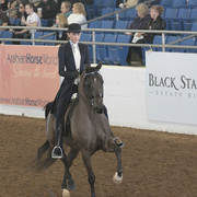 2012 Scottsdale Show | Days 1 & 2