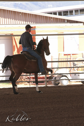 2012 Scottsdale Show | Days 1 & 2