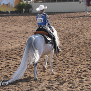2012 Scottsdale Show | Days 1 & 2