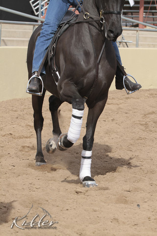 2012 Scottsdale Show | Days 1 & 2