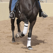 2012 Scottsdale Show | Days 1 & 2