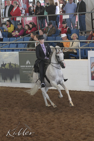 2012 Scottsdale Show | Days 1 & 2