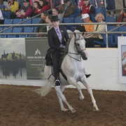 2012 Scottsdale Show | Days 1 & 2