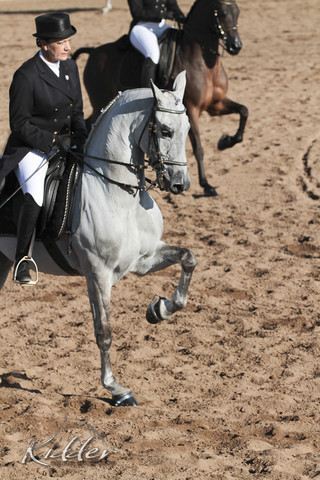 2012 Scottsdale Show | Days 1 & 2