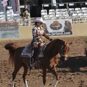 2012 Scottsdale Show | Days 1 & 2