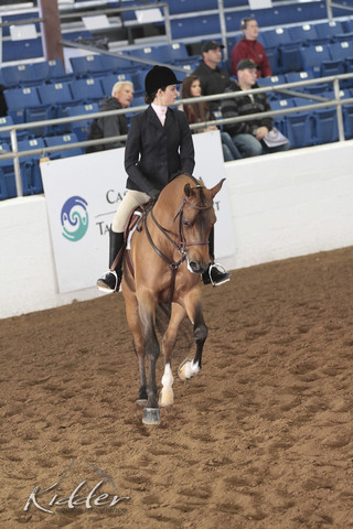 2012 Scottsdale Show | Days 1 & 2