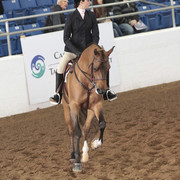 2012 Scottsdale Show | Days 1 & 2
