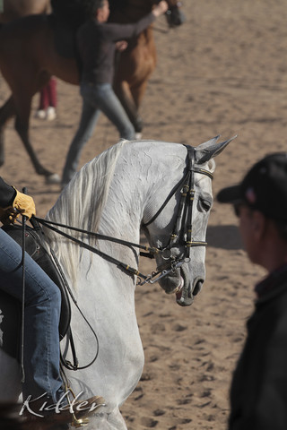 2012 Scottsdale Show | Days 1 & 2