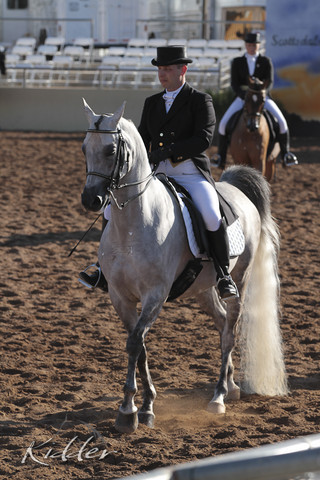 2012 Scottsdale Show | Days 1 & 2