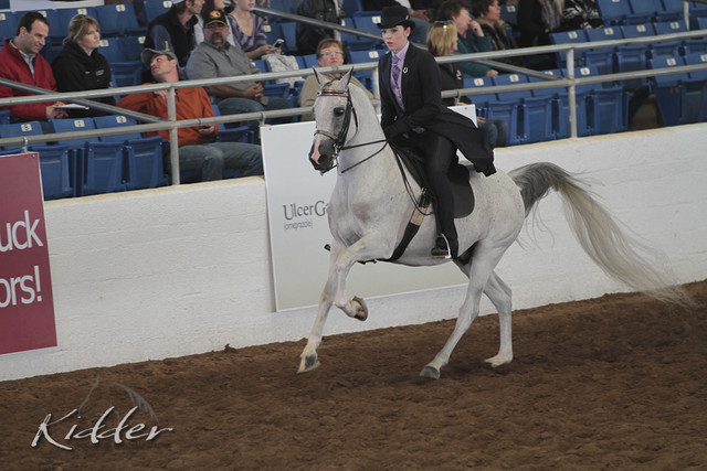2012 Scottsdale Show | Days 1 & 2