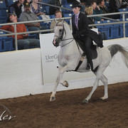 2012 Scottsdale Show | Days 1 & 2
