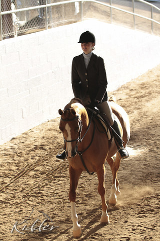 2012 Scottsdale Show | Days 1 & 2