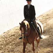 2012 Scottsdale Show | Days 1 & 2