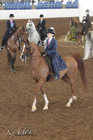 2012 Scottsdale Show | Days 1 & 2