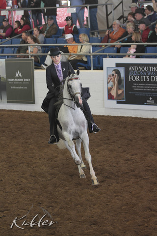 2012 Scottsdale Show | Days 1 & 2