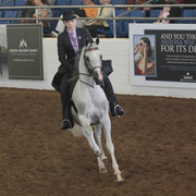 2012 Scottsdale Show | Days 1 & 2