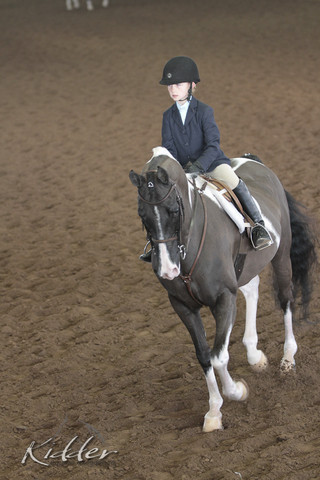 2012 Scottsdale Show | Days 1 & 2