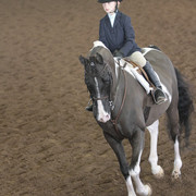 2012 Scottsdale Show | Days 1 & 2